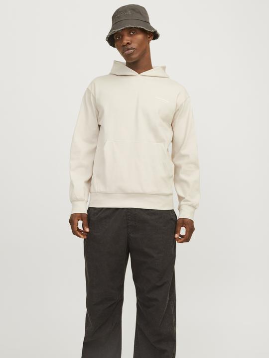 Actual product image Jack & Jones Jcoaero Print Sweat Hood Noos (XL)