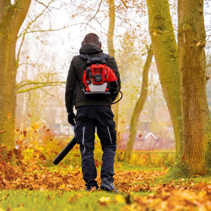 Actual product image Scheppach LB5200BP (Petrol, Leaf blower)