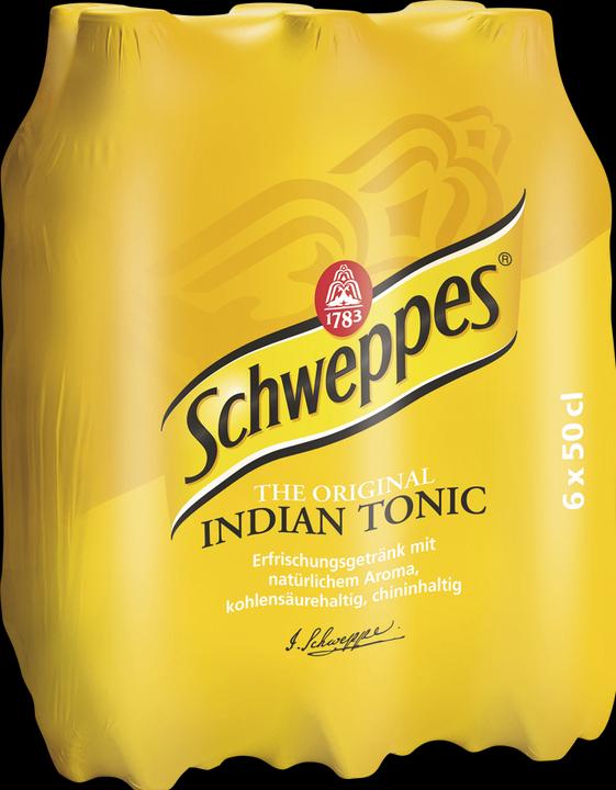 Actual product image Schweppes Indian Tonic (6 x 50 cl)