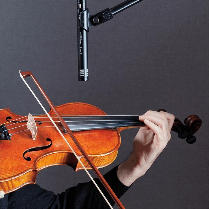 Immagine prodotto Audio-Technica At2031