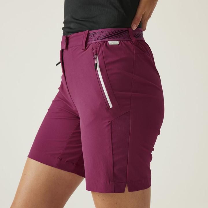 Produktbild Regatta Mountain Shorts II (XS)