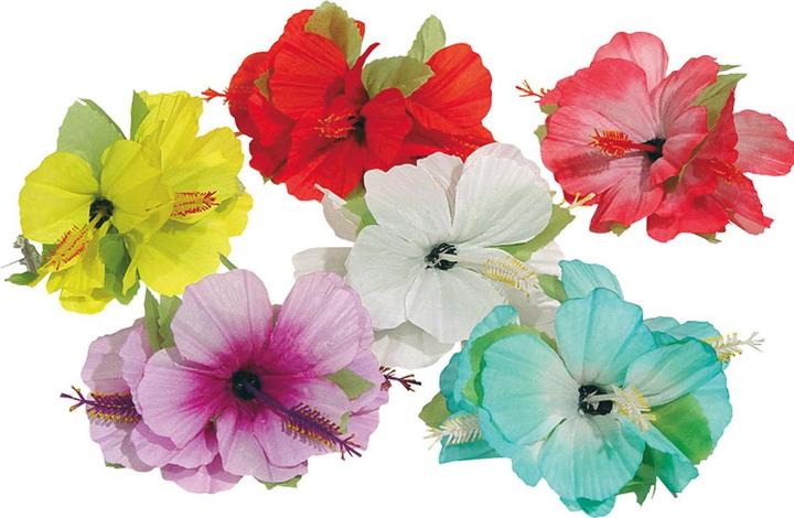 Immagine prodotto Folat Fermaglio per capelli a fiore Hawaii 6 assortiti - 1 pezzo