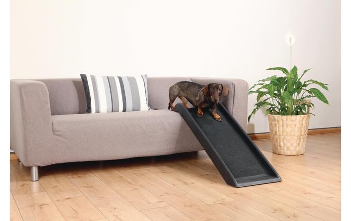 Actual product image Trixie Glasny (Dog)