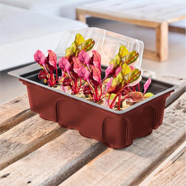 Produktbild Windhager Zimmer-Treibhaus Mini mit Quelltabs