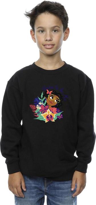 Image du produit Disney - Sweat ENCANTO BORN TO BE ME - Garçon (104)