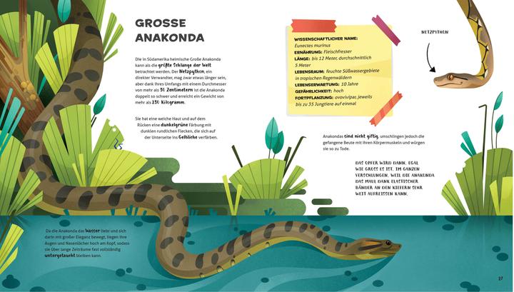Immagine prodotto National Geographic Besonders und wunderbar: Reptilien (Tedesco, Cristina Banfi, Claudia Theis-Passaro, 2021)
