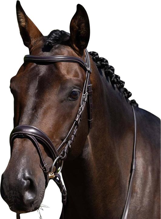Actual product image Premier Equine Cassano