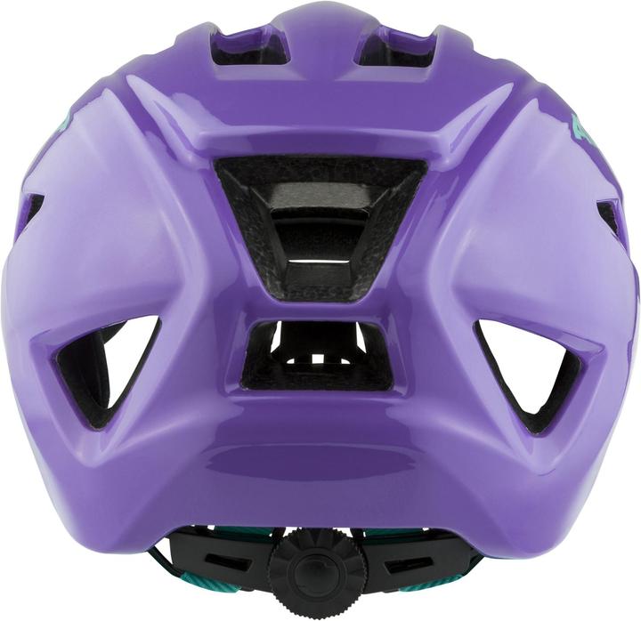 Immagine prodotto ALPINA SPORTS Pico (50 - 55 cm)
