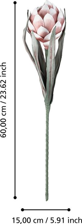 Actual product image EGLO LIVING Molave (15 cm)