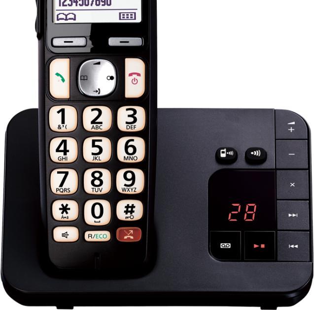 Panasonic KXTGE260JTB
