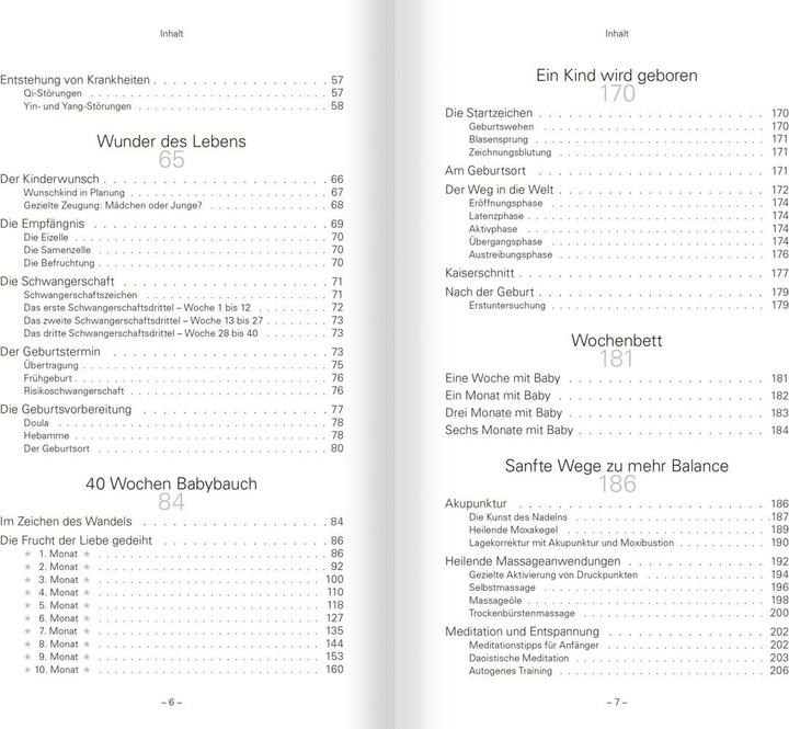 Produktbild TCM für Schwangerschaft, Geburt und Stillzeit (Deutsch, Dr. Natalie Lauer, Prof. TCM Univ. Yunnan Li Wu, 2021)