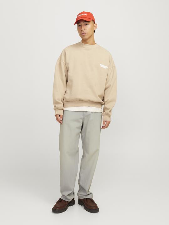 Image du produit Jack & Jones JJIALEX JJCLASSIC JJ 251 Baggy Fit Jeans Baggy Fit Jeans (28)