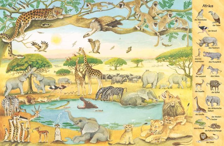 Image du produit Mon premier livre d'images : Les animaux du monde entier (Allemand)