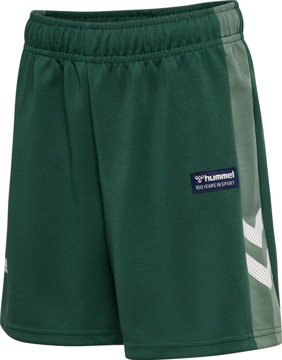 hummel pantaloncini hmlRUPHUS (110)