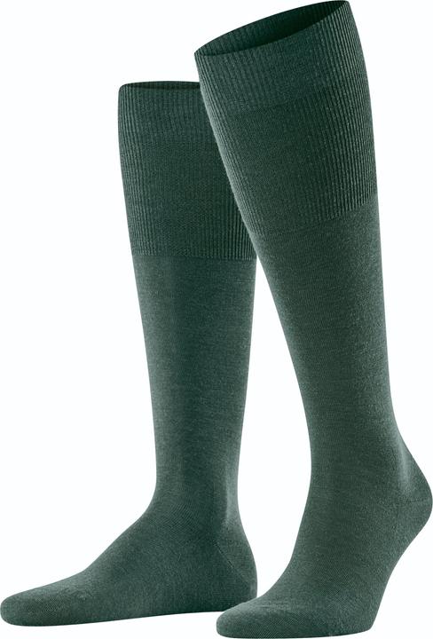Hunter Green