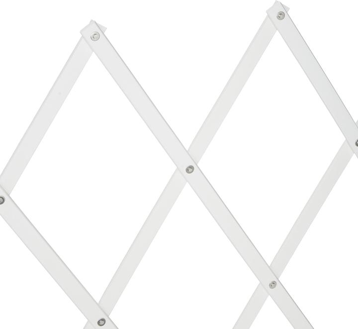 Immagine prodotto Relaxdays Barriera per cani (3 cm)