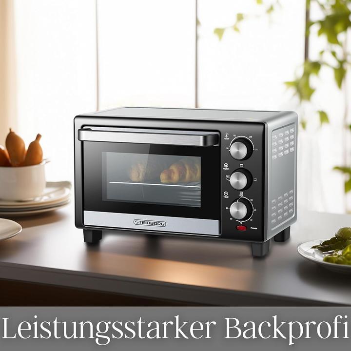 Actual product image Steinborg Mini oven