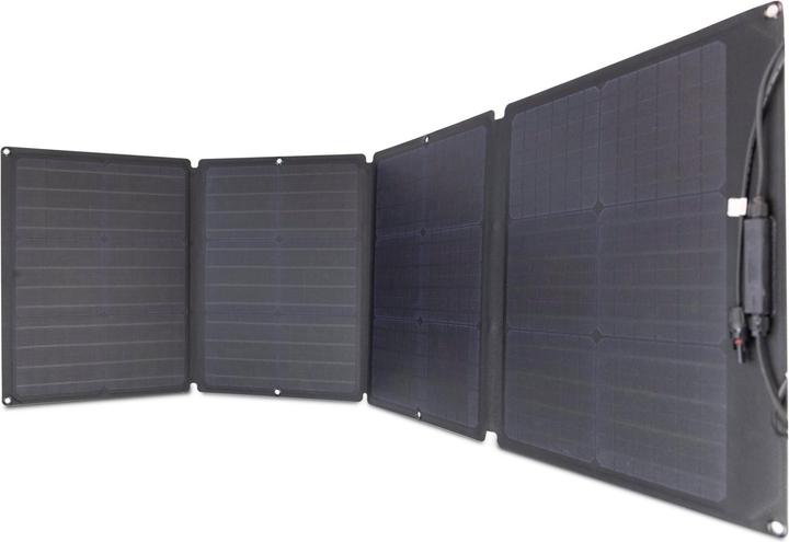 Image du produit EcoFlow Panneau solaire (110 W, 4 kg)
