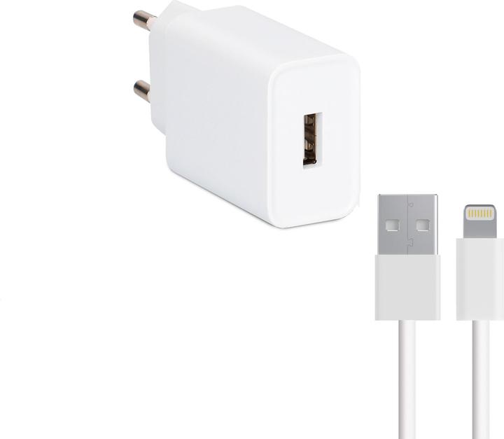Actual product image Contact Wall charger + Lightning cable MFI Apple-compatible 2.1A White (10 W)
