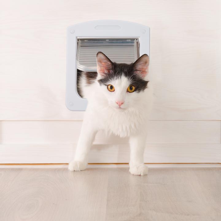Image du produit Relaxdays Clapet pour animaux domestiques (Chatière magnétique)