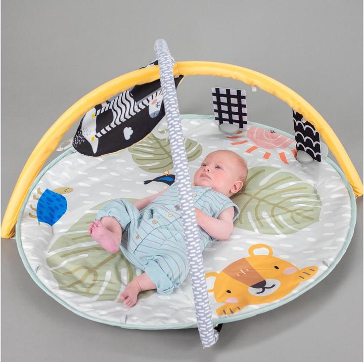 Image du produit Taf Toys Savannah