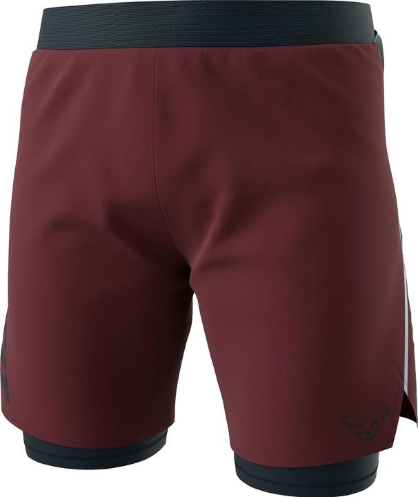 Dynafit ALPINE PRO 2/1 SHORTS, Herren