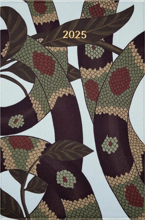 Immagine prodotto Moleskine 12M WONK 25 Foglie di serpente+cassetta (Inglese)