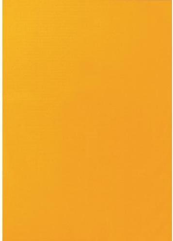 Image du produit Markenlos Étiquettes d'avertissement R85-25540OE A4 Orange