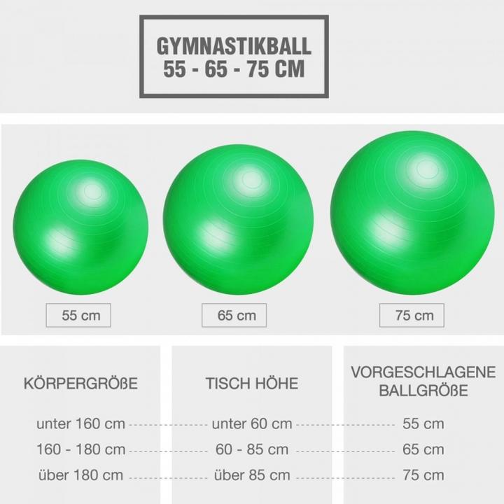 Image du produit Gorilla Sports Ballon d'exercice (75 cm)