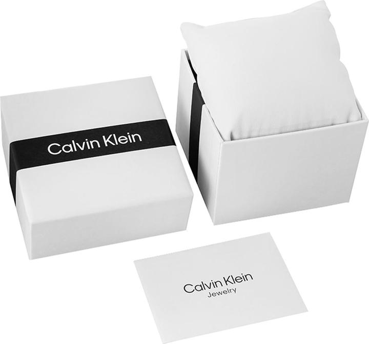 Produktbild Calvin Klein Timeless Mesh Damenuhr 25200003 + BOX (Analoguhr)