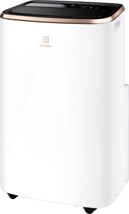 Actual product image Electrolux Chill Flex Pro Gold (40 m², 9000 BTU/h)