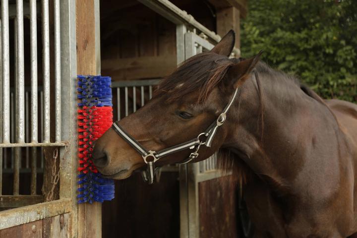 Actual product image Kerbl Scratching brush