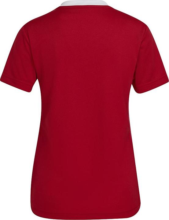 Actual product image adidas Entrada 22 Women's Football Shirt (S)