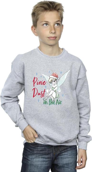 Image du produit Disney - Sweat TINKER BELL PIXIE DUST - Garçon (128)