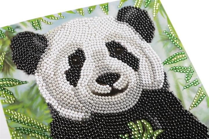 Image du produit Craft Buddy Baby Panda, Carte 18x18cm Crystal Art