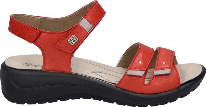 Actual product image Westland 25902-644 (37)