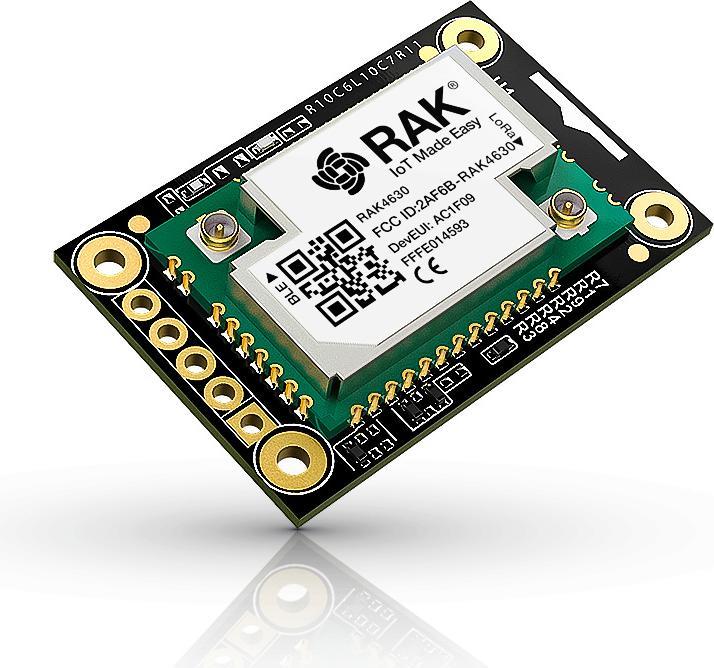 Immagine prodotto RAK Wireless WisBlock Core RAK4631 con LoRa/BLE 5.0