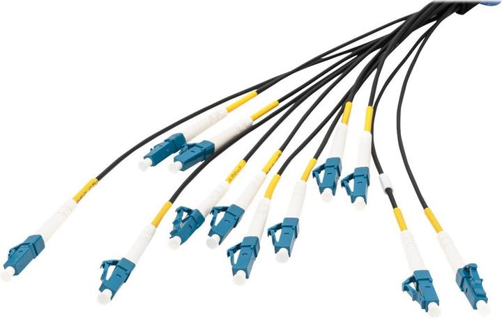 Immagine prodotto Digitus Cavo breakout universale in fibra ottica dotato di terminali, Multimode OS2, 12 fibre, LC/UPC - LC/U (LSOH, CAT6, 100 m)