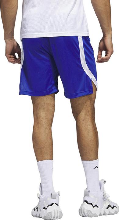 Actual product image adidas Icon Squad Shorts (M)