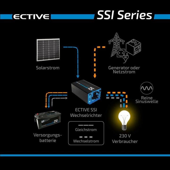 Actual product image Ective Pure sine wave inverter SSI 10 with MPPT charge controller 1000W