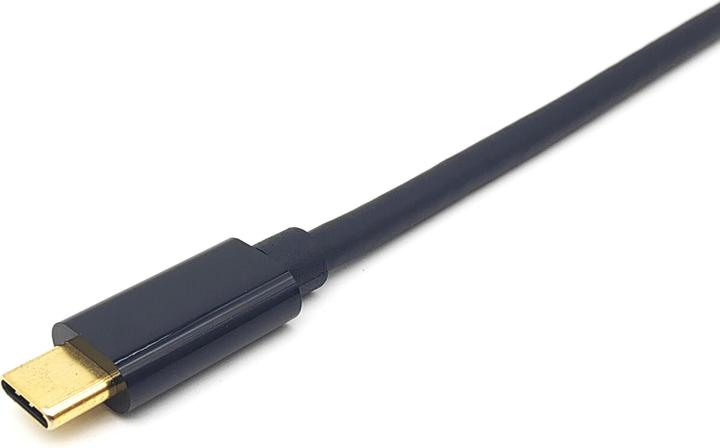 Actual product image equip DisplayPort – USB C (1 m, DisplayPort)