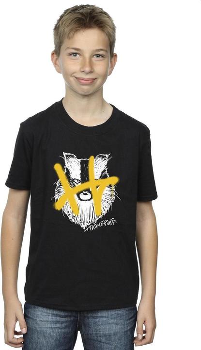 Actual product image Boys Hufflepuff Pop Spray T-Shirt (140, 146)