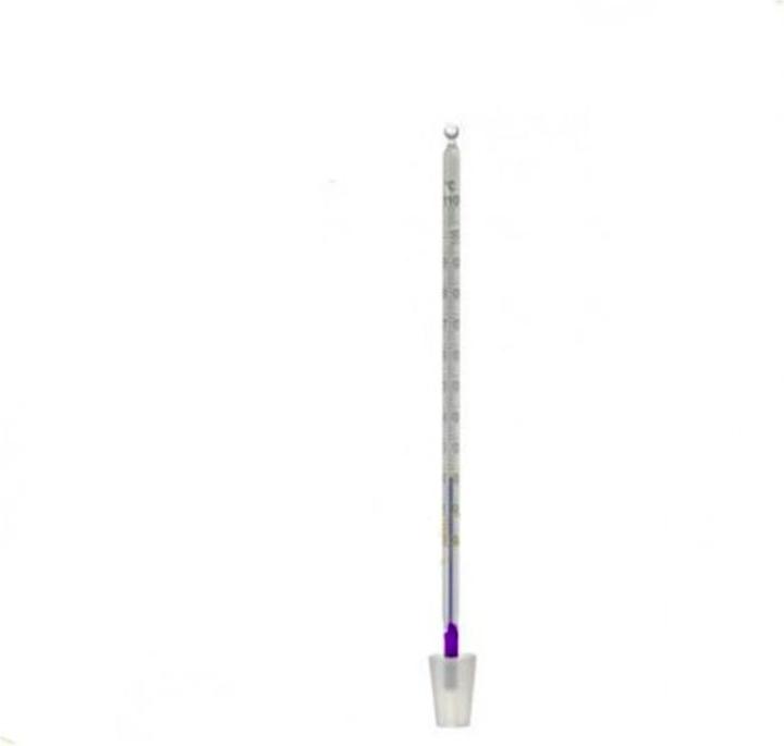 Produktbild Ich-zapfe Thermometer mit Silikonkorken: Präzise Temperaturmessung für Alkohol (Weinthermometer)