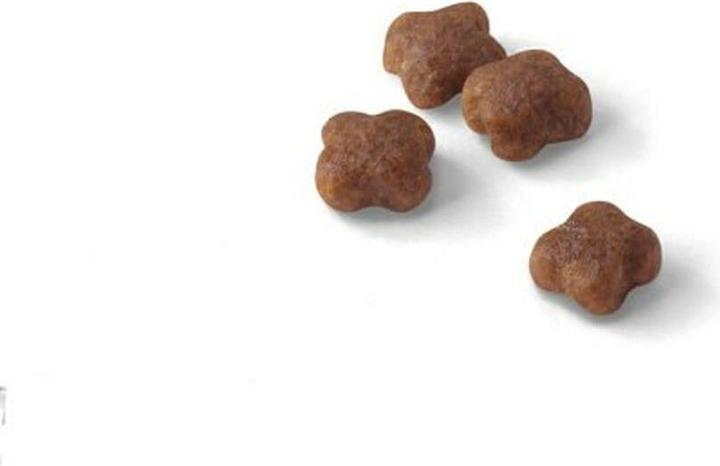 Actual product image Royal Canin Babycat 34 (Junior, 1 pcs., 2000 g)