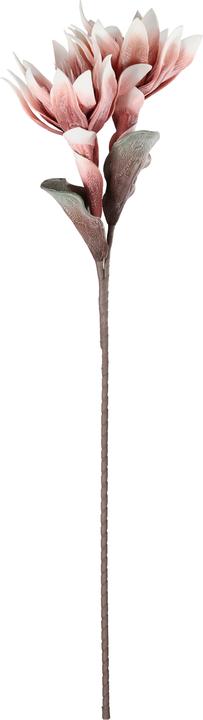 Actual product image EGLO LIVING Molave (28 cm)