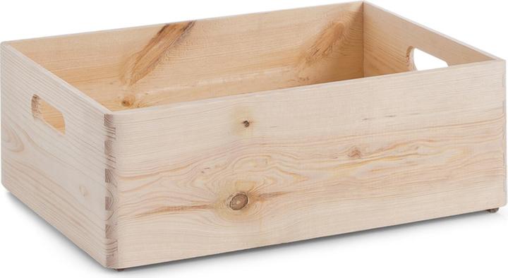 Zeller Present Allzweckkiste (40 x 30 x 15 cm, 18 l)