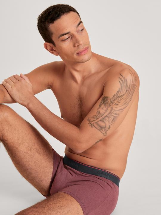 Produktbild Calida Cotton Stretch BoxerBrief (S)