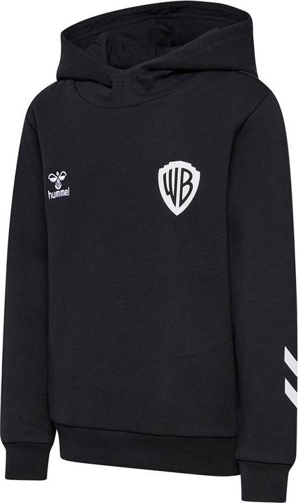 Produktbild hummel Hmlcelebrating Story Hoodie (134)