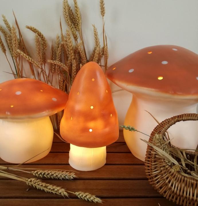 Produktbild Egmont Pilz
