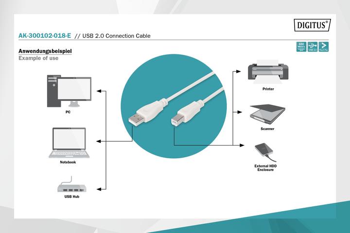 Image du produit Digitus Câble de connexion USB (1.80 m, USB 2.0)